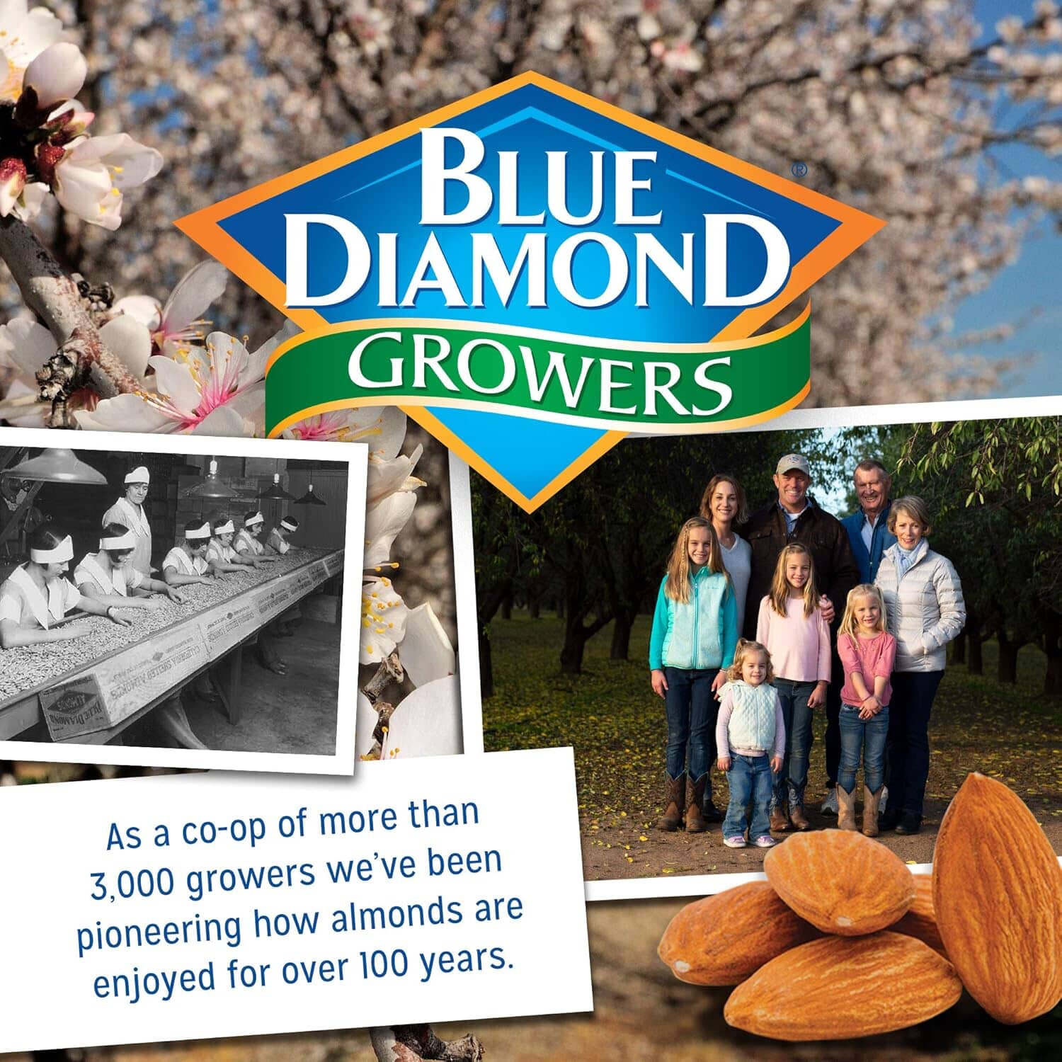 Blue Diamond Almonds Bold Wasabi & Soy, 6 Ounce Can Blue Diamond Almonds 