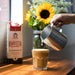 Califia Farms Original Barista Blend Almond Milk, Dairy-Free, 32 fl oz Califia Farms 