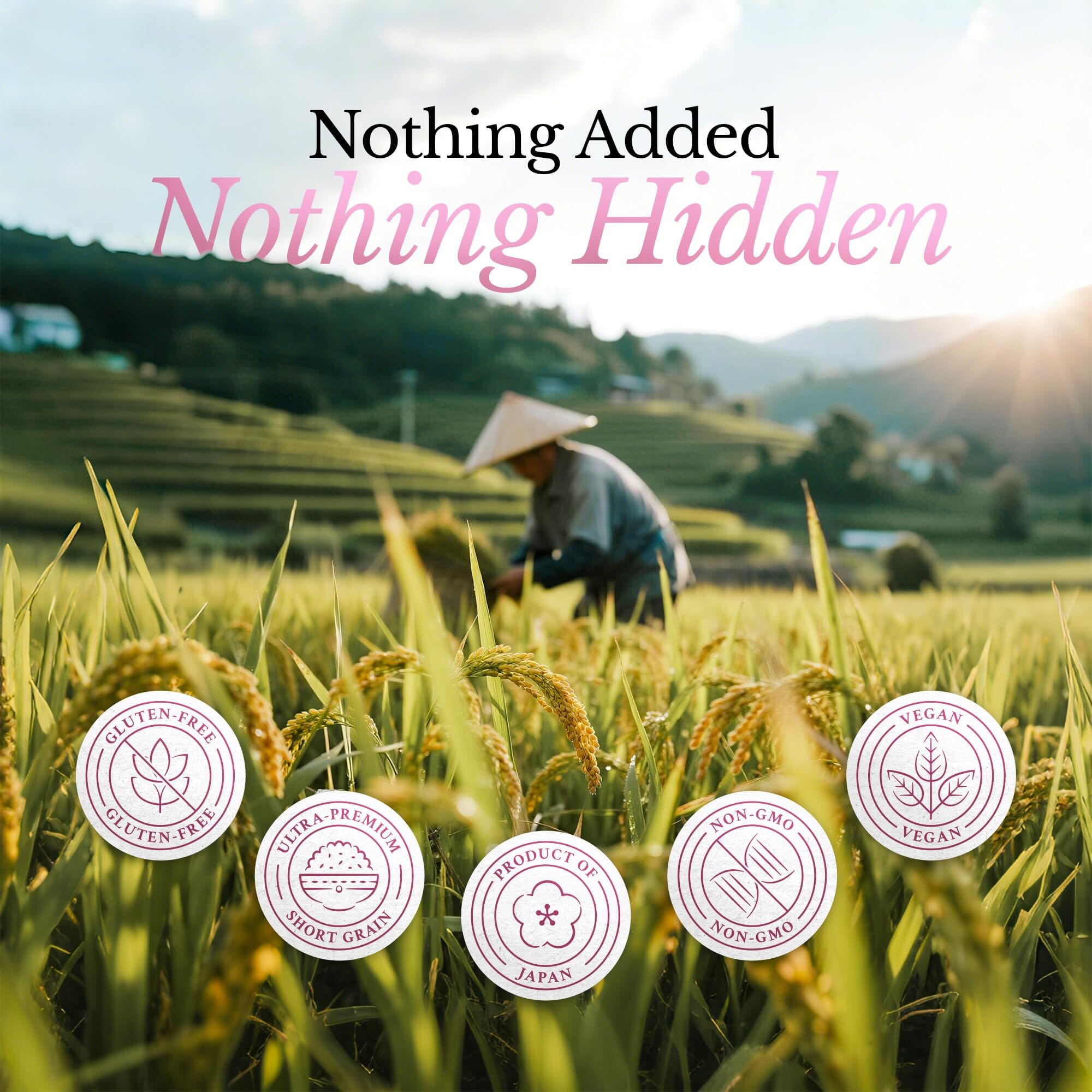 East and Else Japanese Sushi Rice, Short Grain – Multiple Flavors, 2.2 lb East and Else 