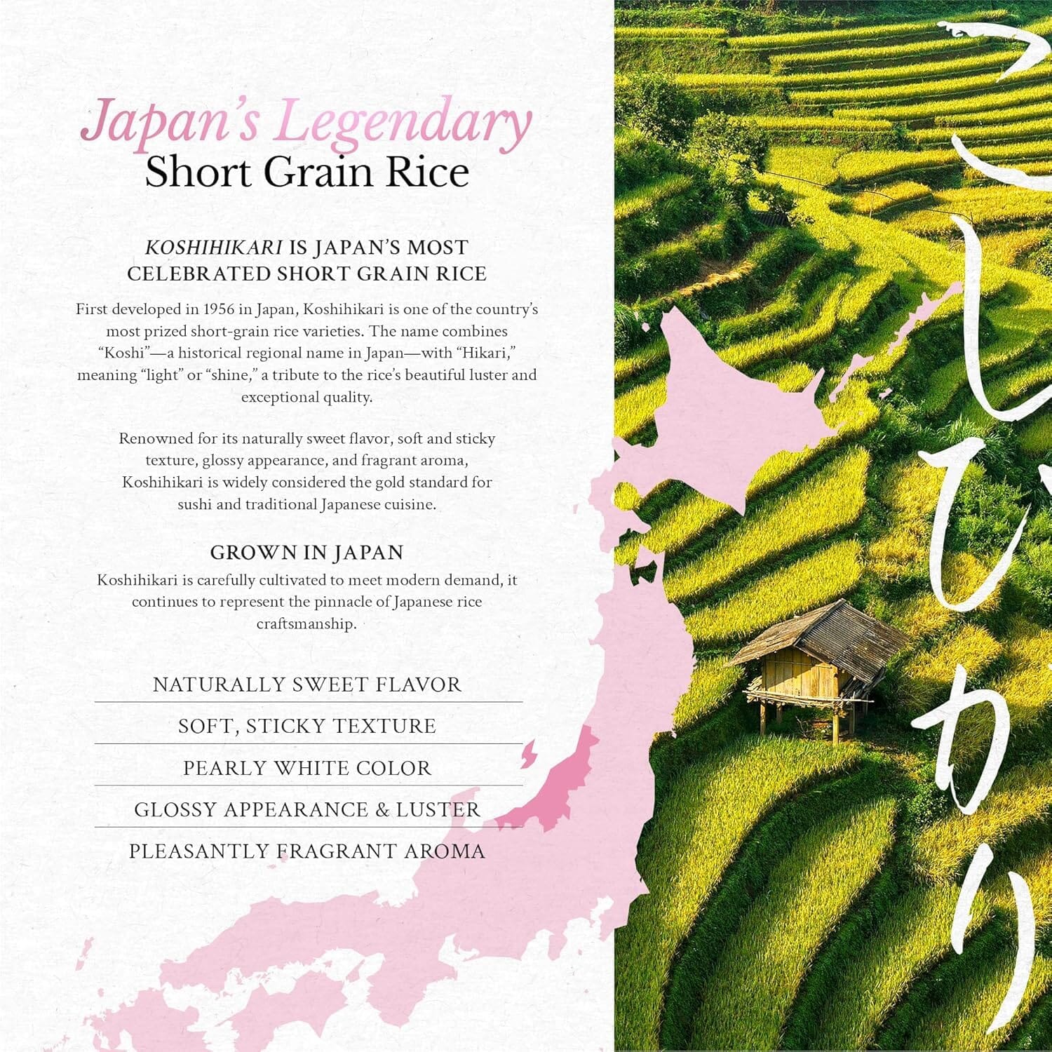 East and Else Koshihikari Japanese Short Grain Sushi Rice, Ultra-Fancy Milled White Rice East and Else 