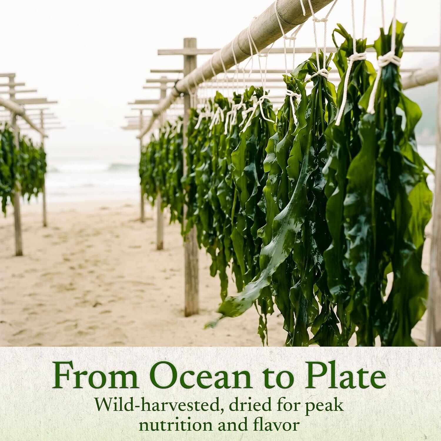 East and Else Wakame Seaweed, Dried Wakame Flakes East and Else 