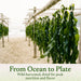 East and Else Wakame Seaweed, Dried Wakame Flakes East and Else 