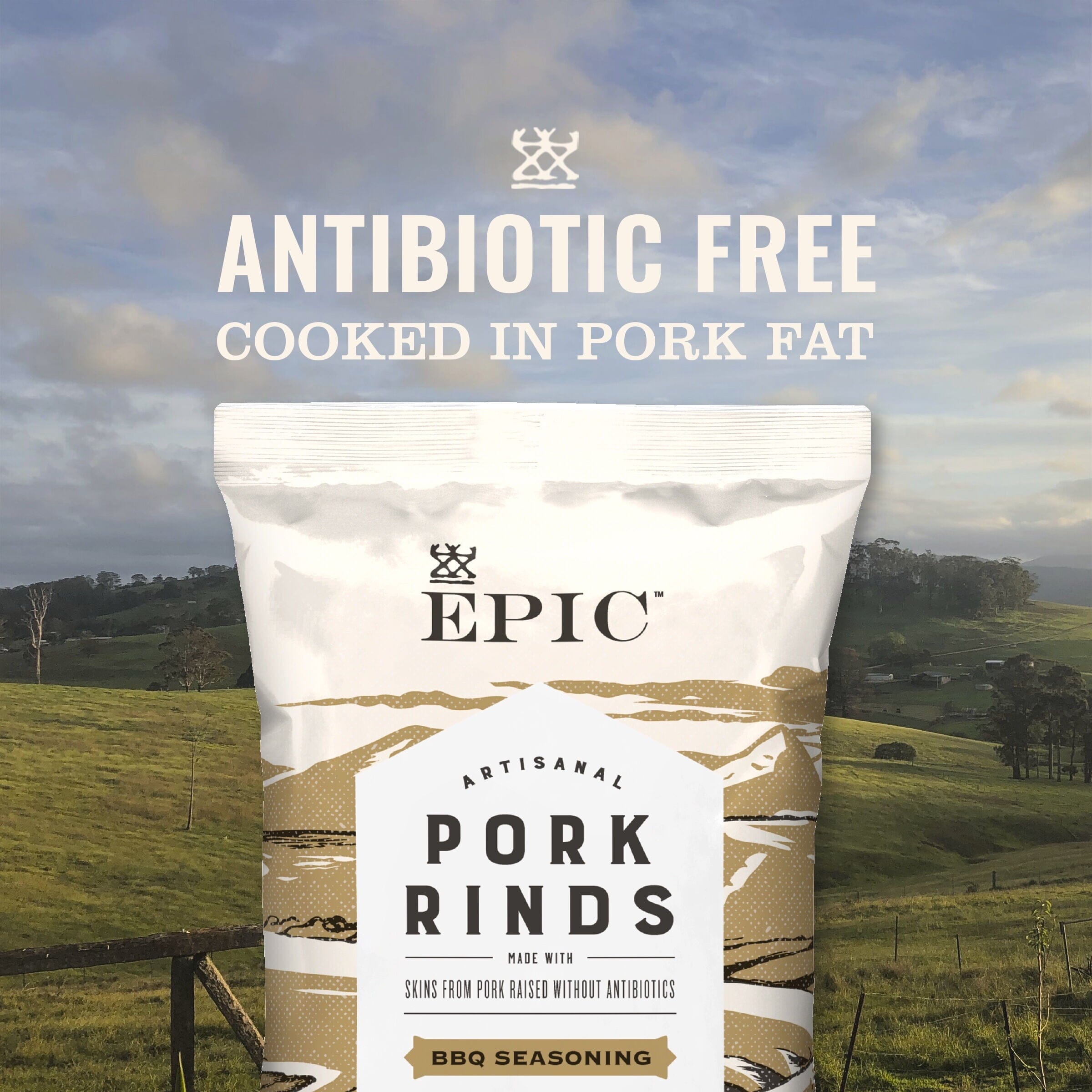EPIC BBQ Pork Rinds Gluten Free, 2.5 Ounce EPIC Provisions 