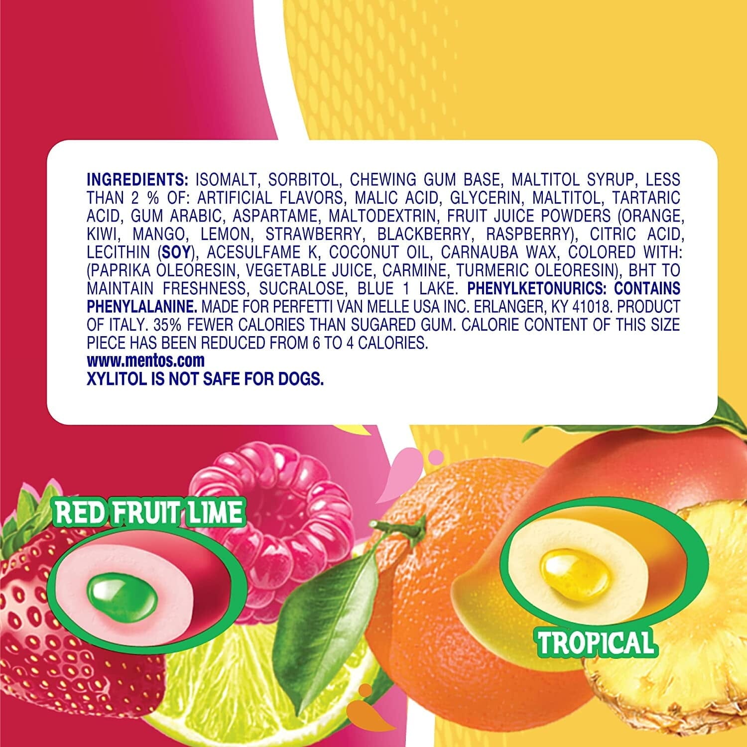 Mentos Gum Sugar-Free Tropical Red Fruit Lime Chewing Gum, 50 Regular Size Pieces, Bottle, Pack of 6 Mentos 