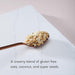 Qi’a Superfood Creamy Coconut Oatmeal, Gluten-Free Oats with Coconut & Super Seeds, 6 Pack Nature's Path 