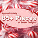 Snackathon Classic Red & White Peppermint Twists Hard Candy, 1 Pound Snackathon 