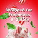 Snackathon Classic Red & White Peppermint Twists Hard Candy, 1 Pound Snackathon 