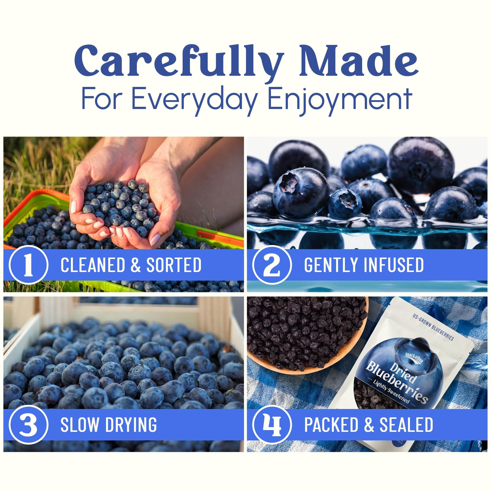 Snackathon Dried Blueberries, Lightly Sweetened, Soft & Plump Whole Berries, US-Grown, Gluten-Free, Non-GMO, No Sulfites, Dried Fruit for Snacking, Baking & Toppings Snackathon 