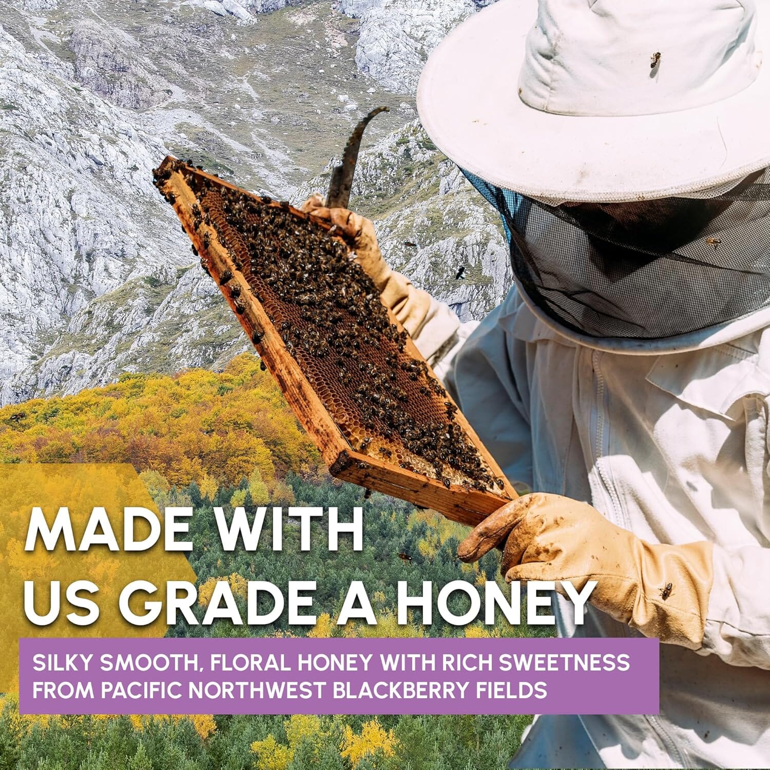Snackathon Honey Sticks, Blackberry Blossom Pure Honey, Made in USA Snackathon 