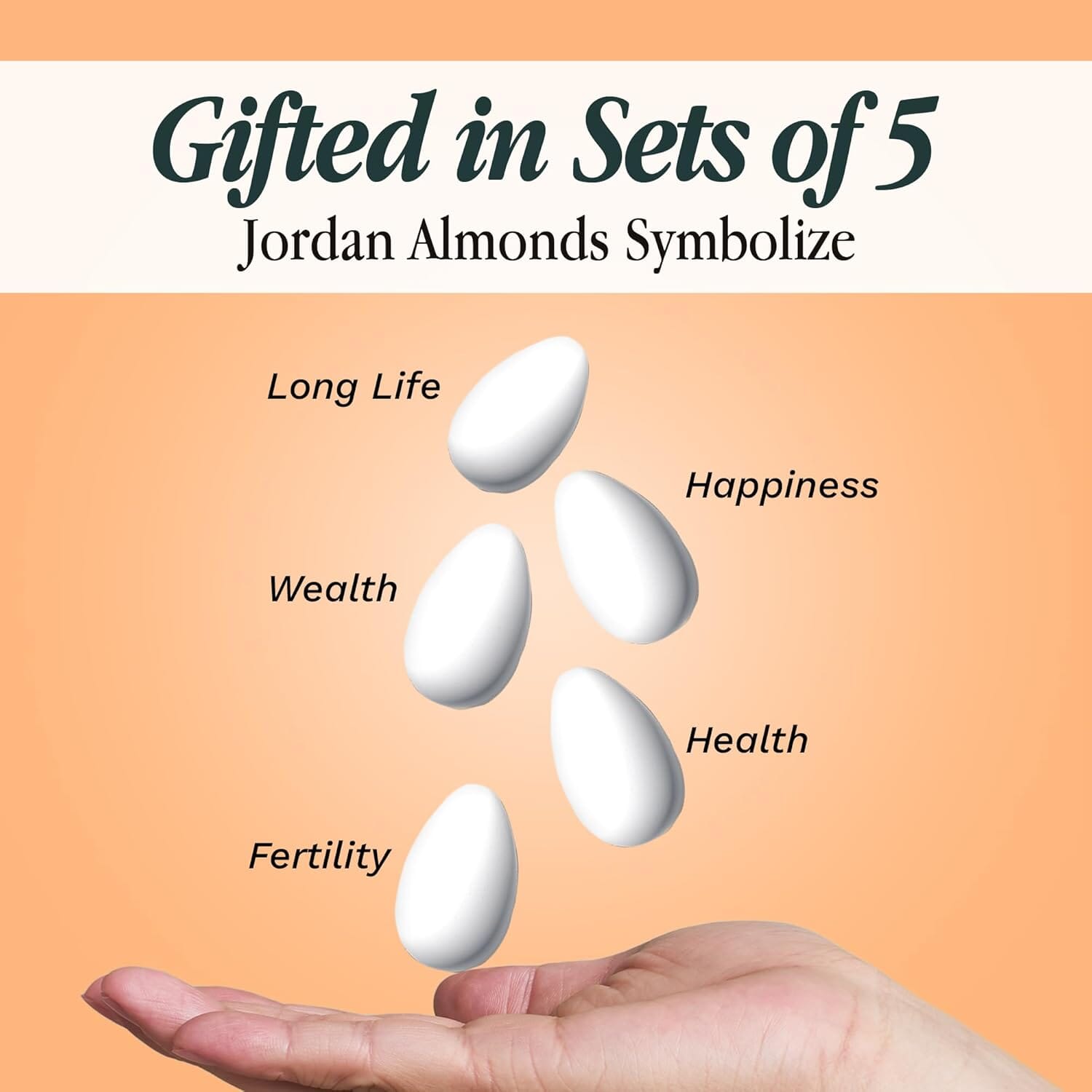 Snackathon Jordan Almonds, White Candy-Coated Almonds, 1 LB Resealable Bag, Made in USA, Bulk Italian Confetti Wedding Favors, Baby & Bridal Showers, Party Buffets, Events & Holidays Snackathon 