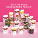 Snackathon Milk Chocolate Covered Raisins, Chewy Thompson Milk Chocolate Coated Raisins Snackathon Foods 