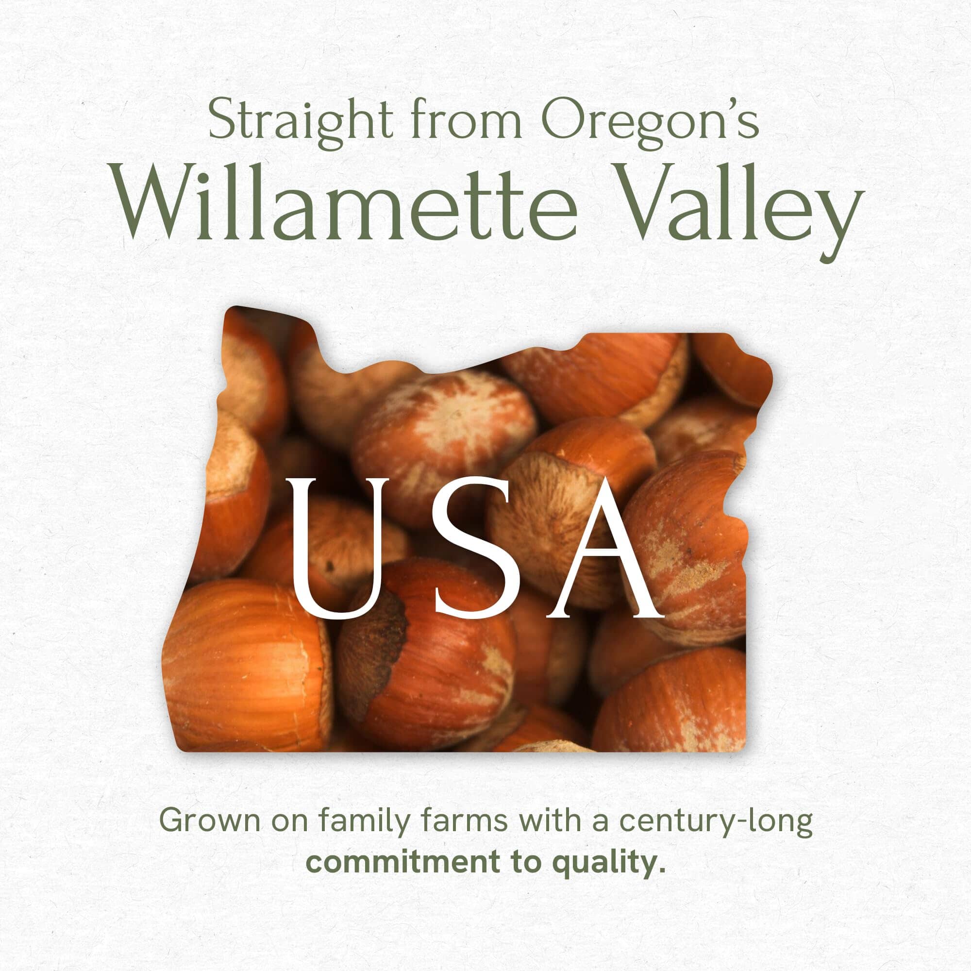 Oregon Walnuts Snackathon Oregon Hazelnuts In Shell, Raw Whole Filberts — Snackathon Foods