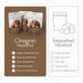 Snackathon Roasted Oregon Hazelnuts, Unsalted, Dry Roasted, Whole Filberts, Premium Natural Nuts Grown in USA, 1 LB Resealable Bag, Healthy Snack, Ideal for Baking, Nut Butters & Recipes Snackathon 