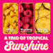 Snackathon Soft Serve Mix Variety Pack, 3 Sunshine Flavors, Makes 3 Quarts Snackathon 