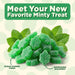 Snackathon Spearmint Leaves Candy, Soft & Chewy Mint Jelly Candy Snackathon 