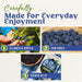 Snackathon Unsweetened Dried Blueberries, 4 oz, No Sugar Added, Just 100% Sun-Dried California Whole Berries, All Natural, Non-GMO, No Oils, Resealable Bag, Dried Fruit for Baking & Snacking Snackathon Foods 