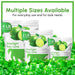 Starlight Candy, Key Lime, Individually Wrapped Snackathon 